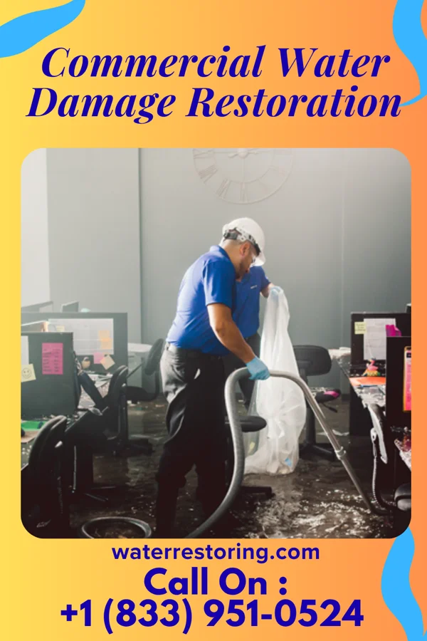 Commercial Water Damage Restoration in Center City, MN