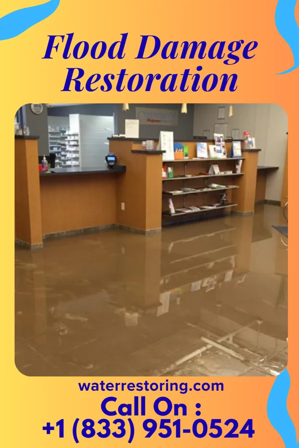 Flood Damage Restoration in Center City, MN