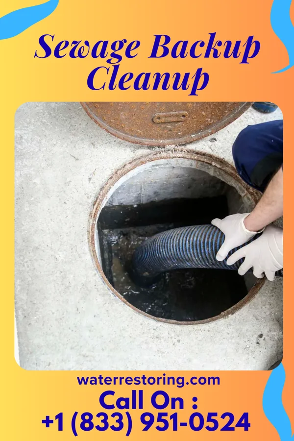 Sewage Backup Cleanup in Center City, MN
